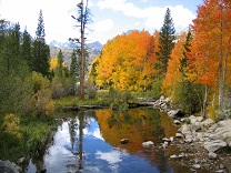 Mammoth Lakes Tourism and Sightseeing